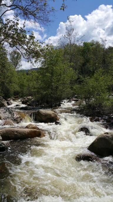 Вилла River Retreat Cabin In Three Rivers - Near Snp Экстерьер фото