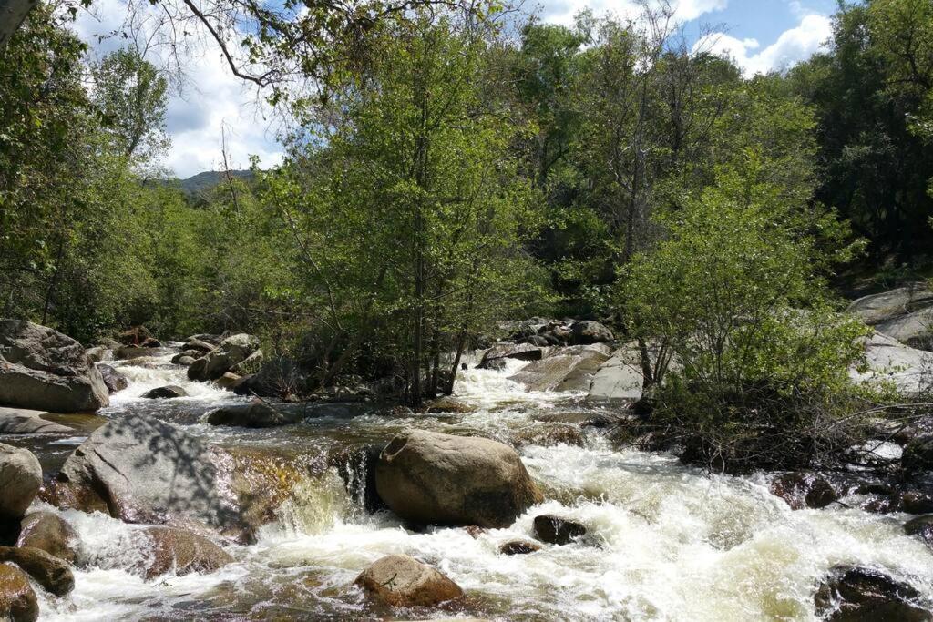 Вилла River Retreat Cabin In Three Rivers - Near Snp Экстерьер фото