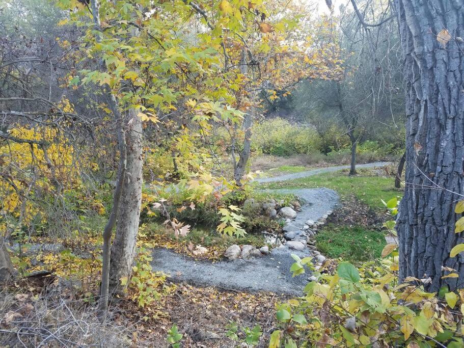 Вилла River Retreat Cabin In Three Rivers - Near Snp Экстерьер фото